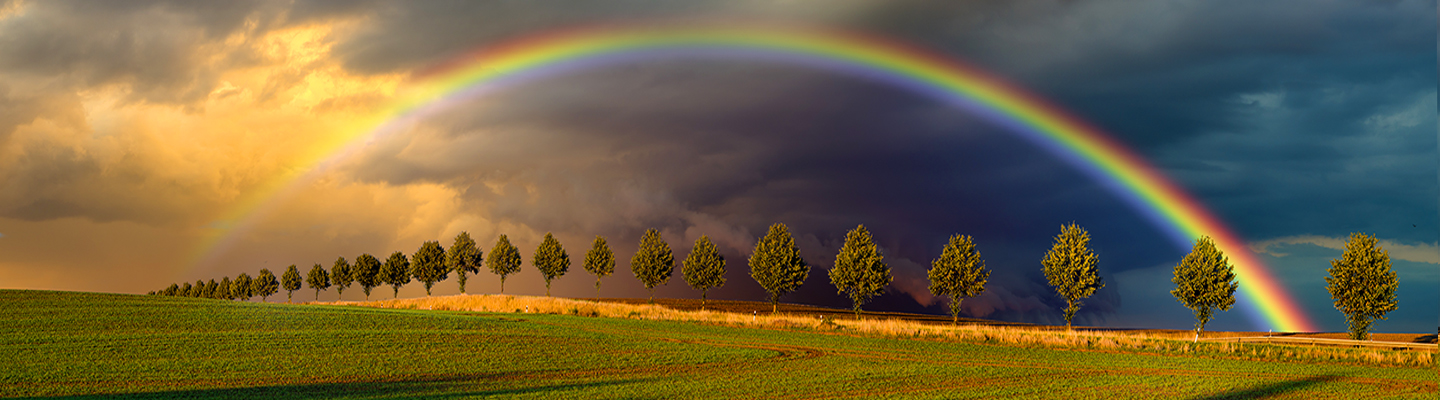 Rainbow across stormy sky over green field with row of trees