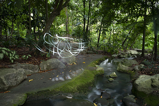 Light streaks in a photo of a wooded green area and a stream