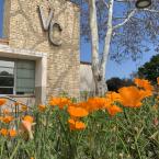Outside the Ventura College Admin building, overlooking cali