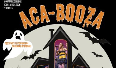 Aca-Booza