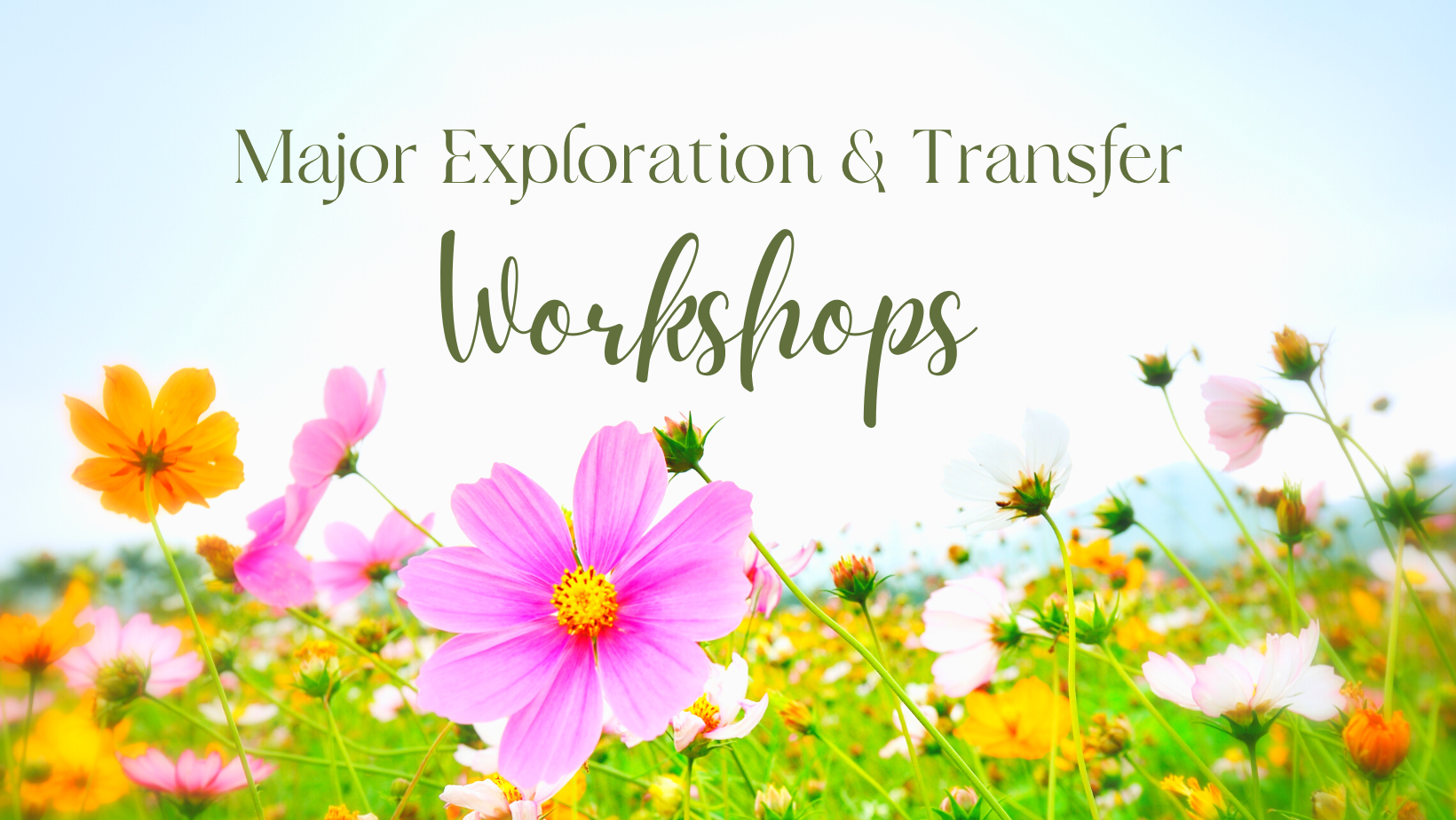 Major Exploration and Transfer Workshops