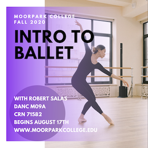 Intro to Ballet Online F2020