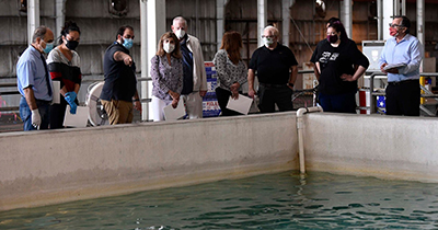 group of people with masks looking into a pool