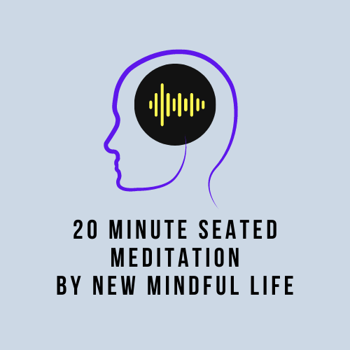 head outline with audio waves, text reads 20 minute seated meditation by new mindful life
