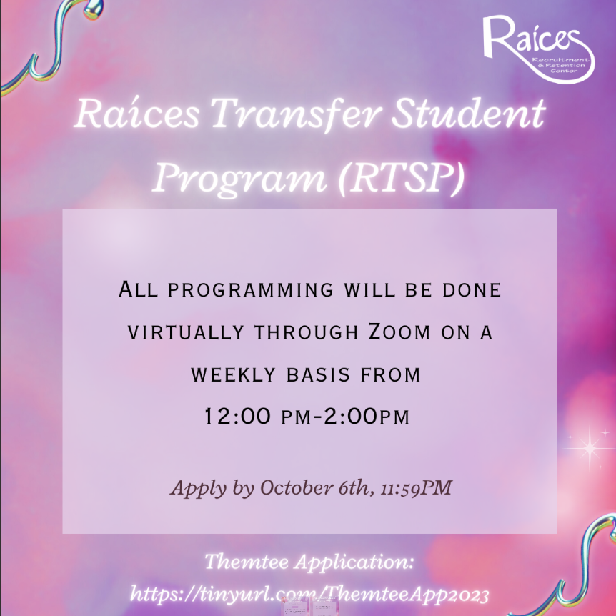 RTSP Flyer part II