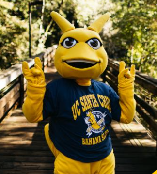 Sammy the Mascot photo