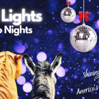 Wild Lights & Disco Nights Shine Bright at America's Teaching Zoo