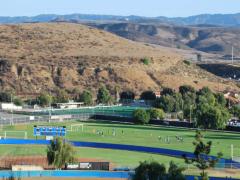 Soccer Field