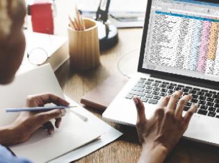 Person looking at an accounting spreadsheet on a computer.