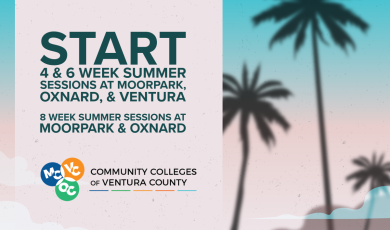 Graphic promoting summer sessions at the Community Colleges Graphic promoting summer sessions at the Community Colleges