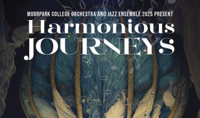 Harmonious Journeys