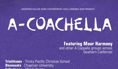 A-Coachella Purple Sky Background