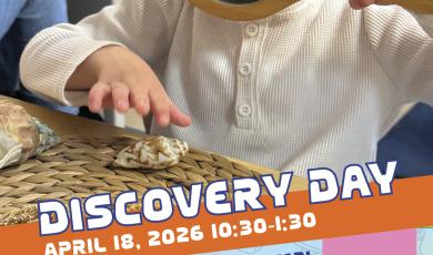 Discovery Day toddler with magnifying glass looking at shells