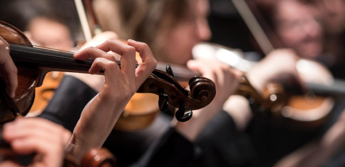 close up of people playing violin