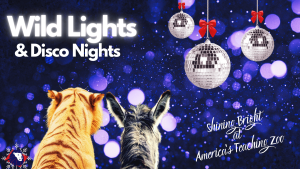 Wild Lights & Disco Nights Shine Bright at America's Teaching Zoo